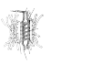 2.5c construction desmosomes